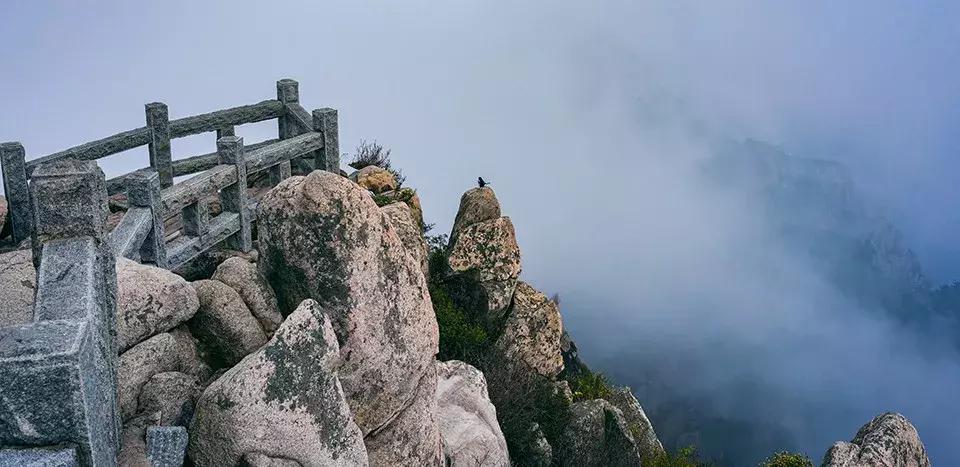 哪个景区厕所最差？游客网络评价报告来啦！海滨浴场最差！
