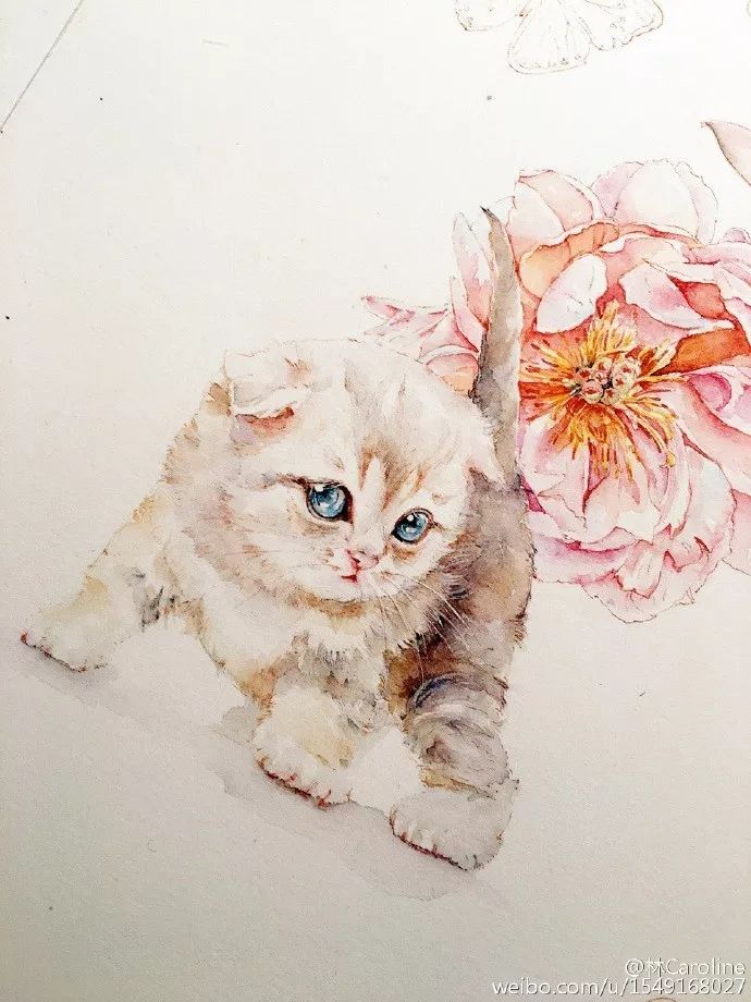 央视最美插画,央视点赞最美老师