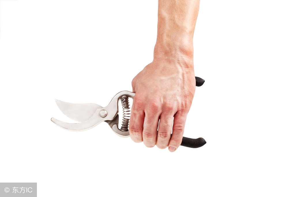 特不靠谱美利坚,特不靠谱的行为