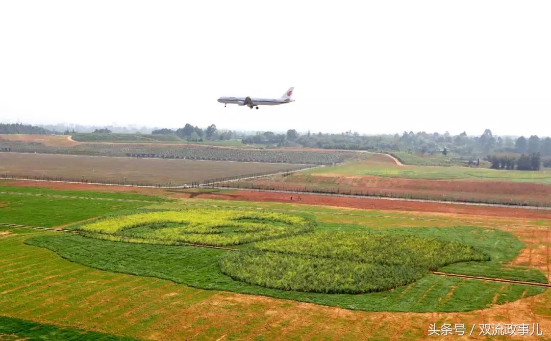 他山之石可以攻玉感悟,他山之石可以攻玉的另一种说法