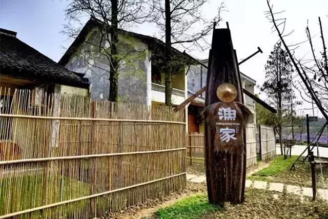 乡村振兴看浙江,乌镇乌村考察报告