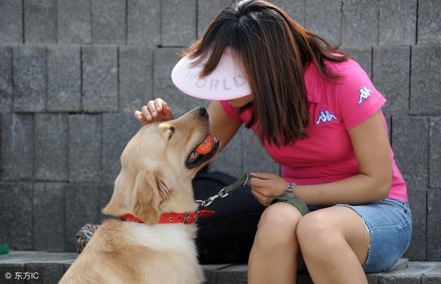 狗春季如何预防生病,秋季感冒狗狗什么症状