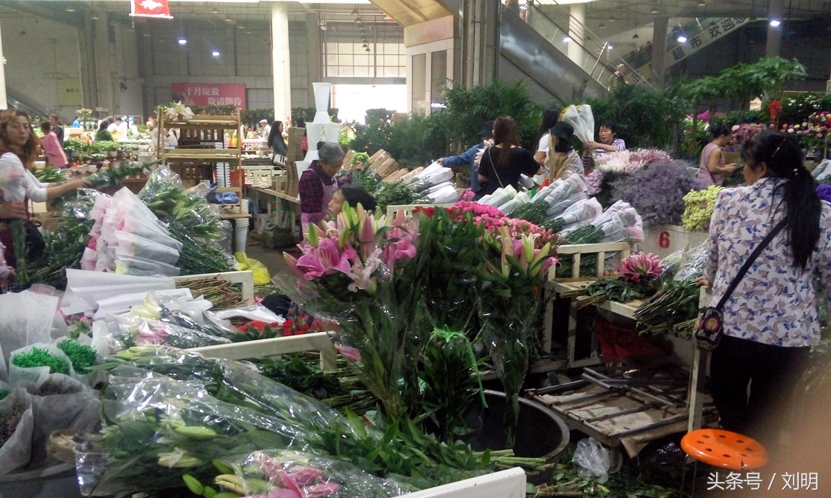 蚂蚁旅游专线云南之旅,蚂蚁旅游行