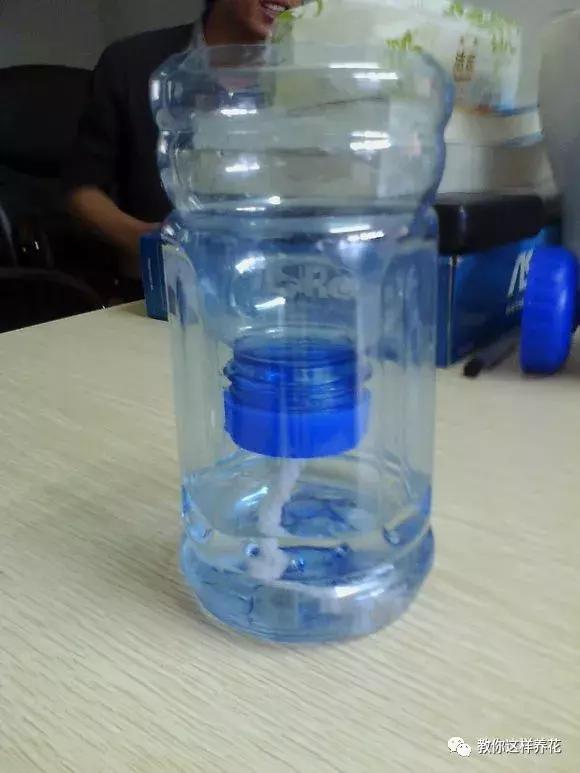 塑料瓶怎么剪可以种花,怎样剪矿泉水瓶种花