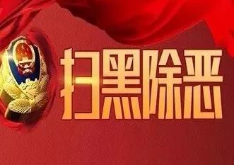 辽宁黑社会覆灭记,辽宁5大重点涉黑涉恶团伙落网