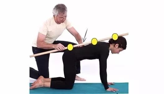 猫牛式动作讲解,猫牛式正确练习和错误练习