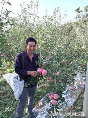 寺河山果农李英理：苹果成了金蛋蛋