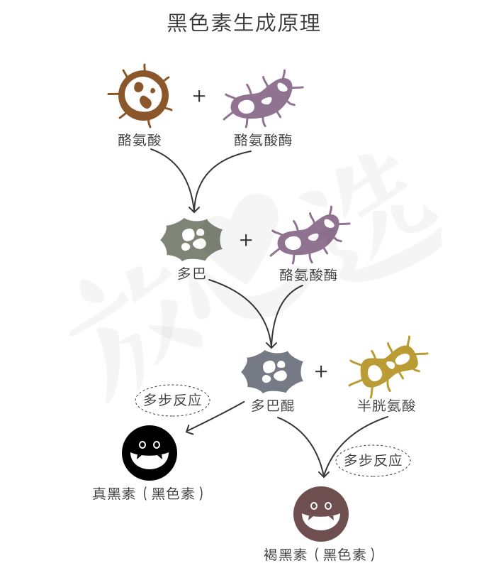 pola美白丸含雌激素吗,pola美白丸fancl