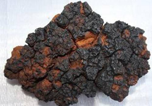 这东西你听过但你肯定没见过