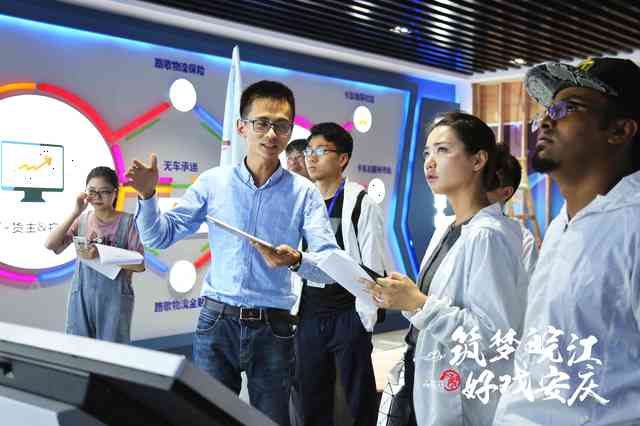 凤观安徽,凤观视频