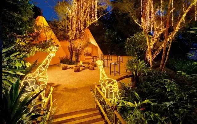 新加坡夜间动物园英语版,新加坡圣淘沙夜间动物园