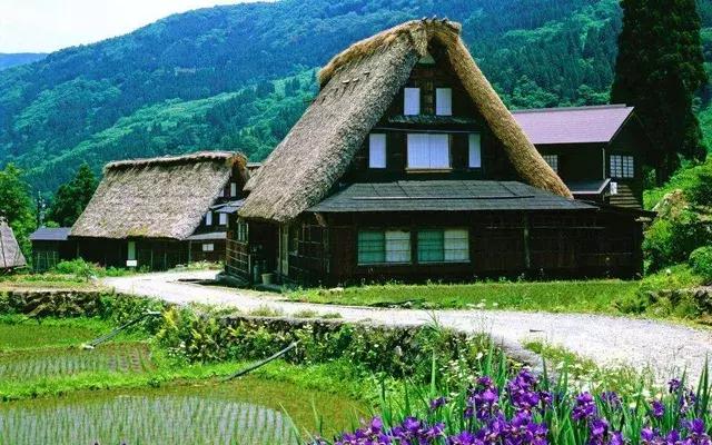 农村建房超出面积怎么处理,农村建房超出面积的怎么处罚