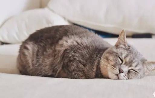 生孩子治痛经真的假的,生孩子真的可以治痛经么