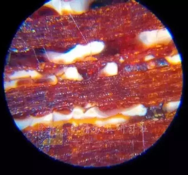 金星和牛毛纹图片,牛毛纹和棕眼图解