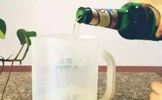 绿萝长得慢你知道原因吗,绿萝长得太慢