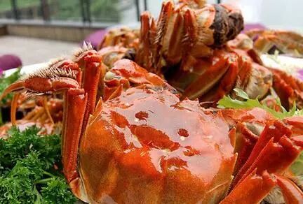 吃海鲜手扎了一下,如果一不小心被海鲜扎了会怎么样