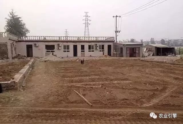 冷清的农家院被设计师折腾坏了成了京城第一精致生态农场