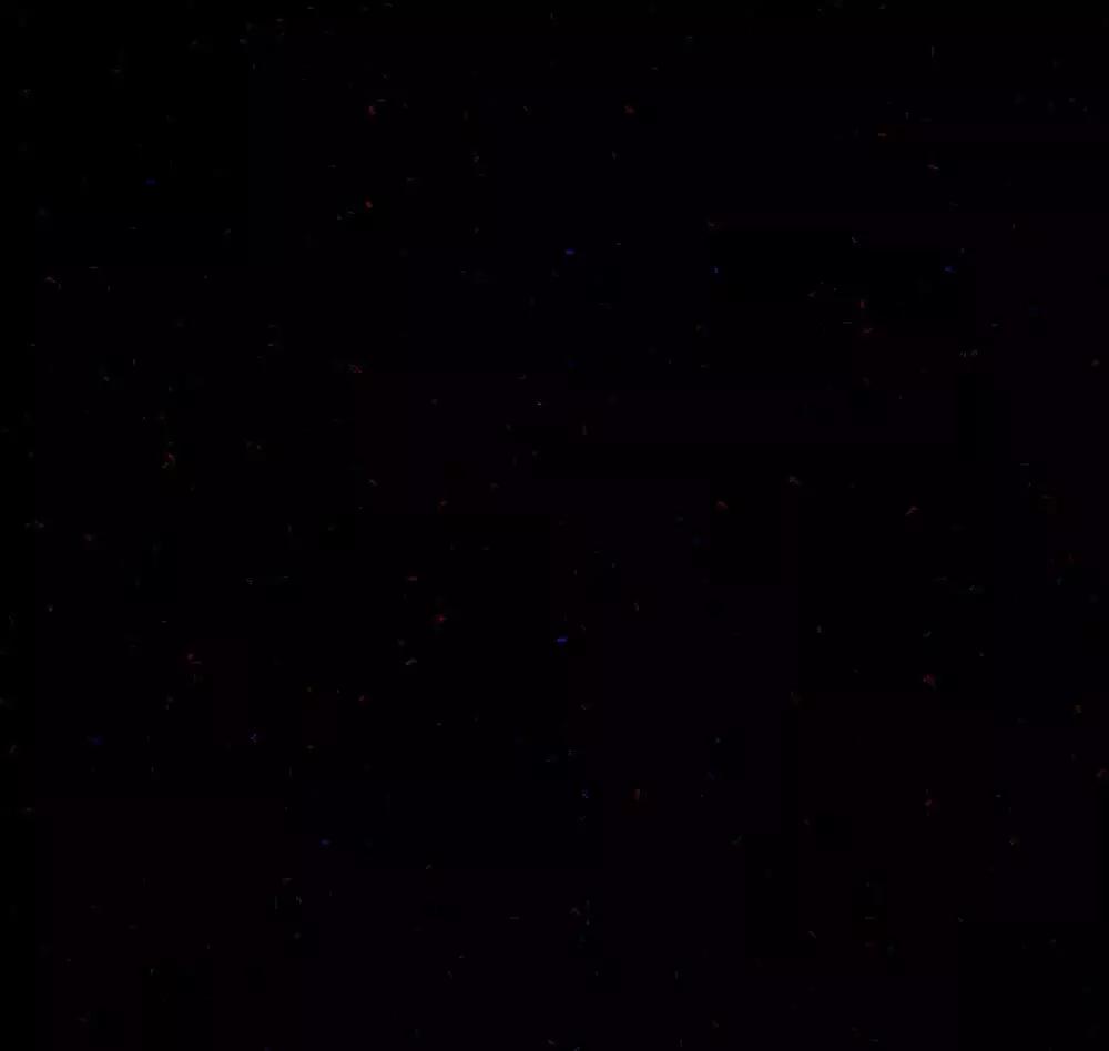 小白摄影需要的软件,小白入门摄影工具