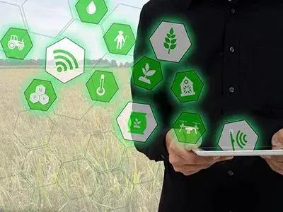 互联网农业带来的意义,互联网农业的本质究竟是什么