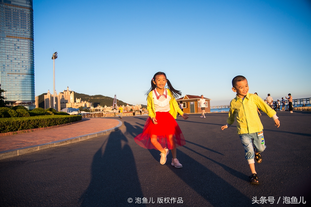 大连极地企鹅,南极企鹅求婚视频