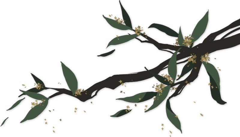 安利纽崔莱健康慈善跑活动,安利纽崔莱健康慈善慢跑