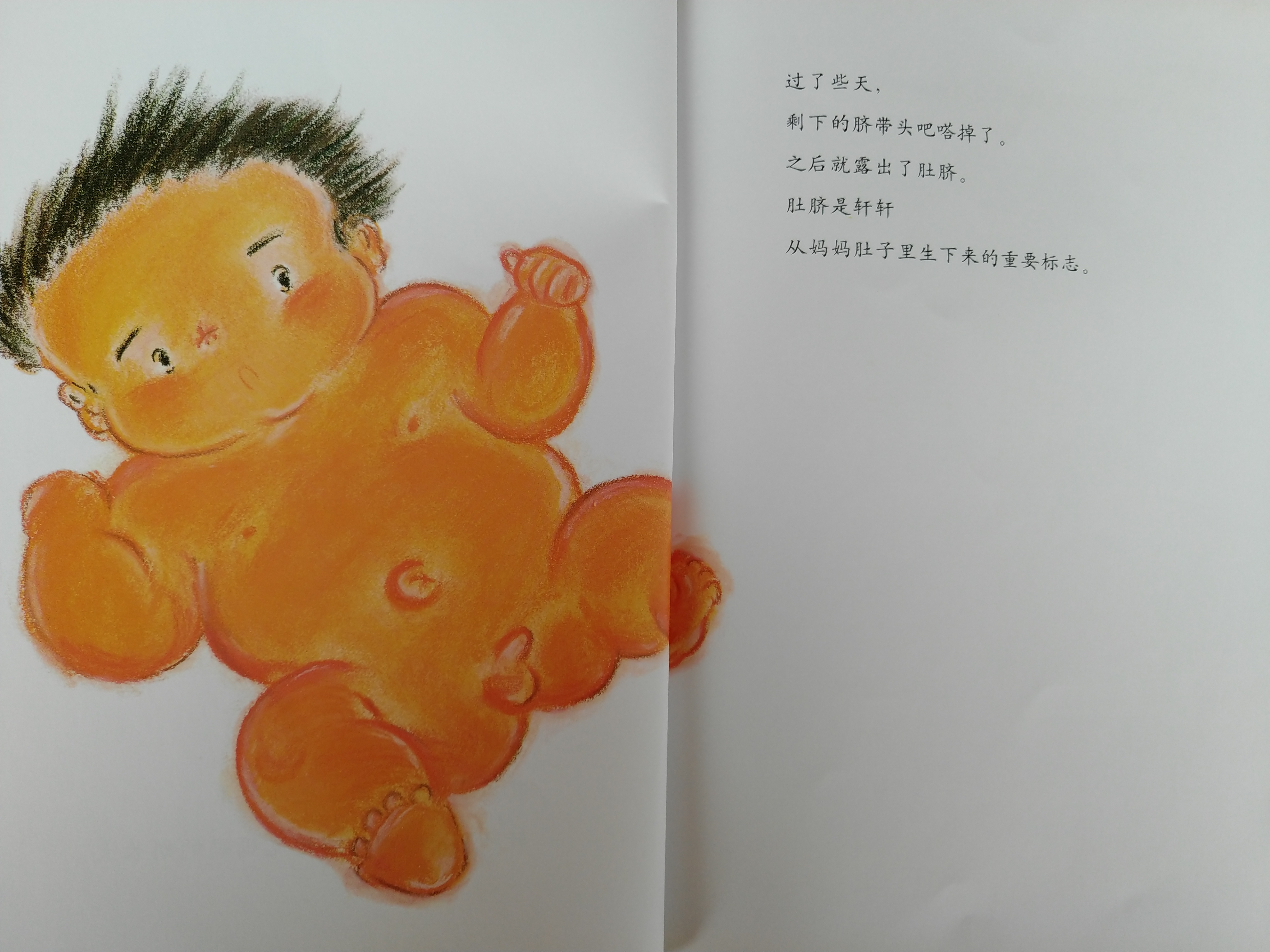 有声绘本故事小猪,肚脐的故事有声绘本