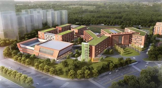 重本升学率,宜宾重本率最高的学校