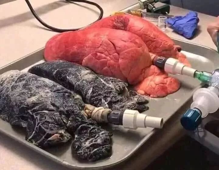 用电子烟伤害大吗,电烟和香烟哪个危害更大