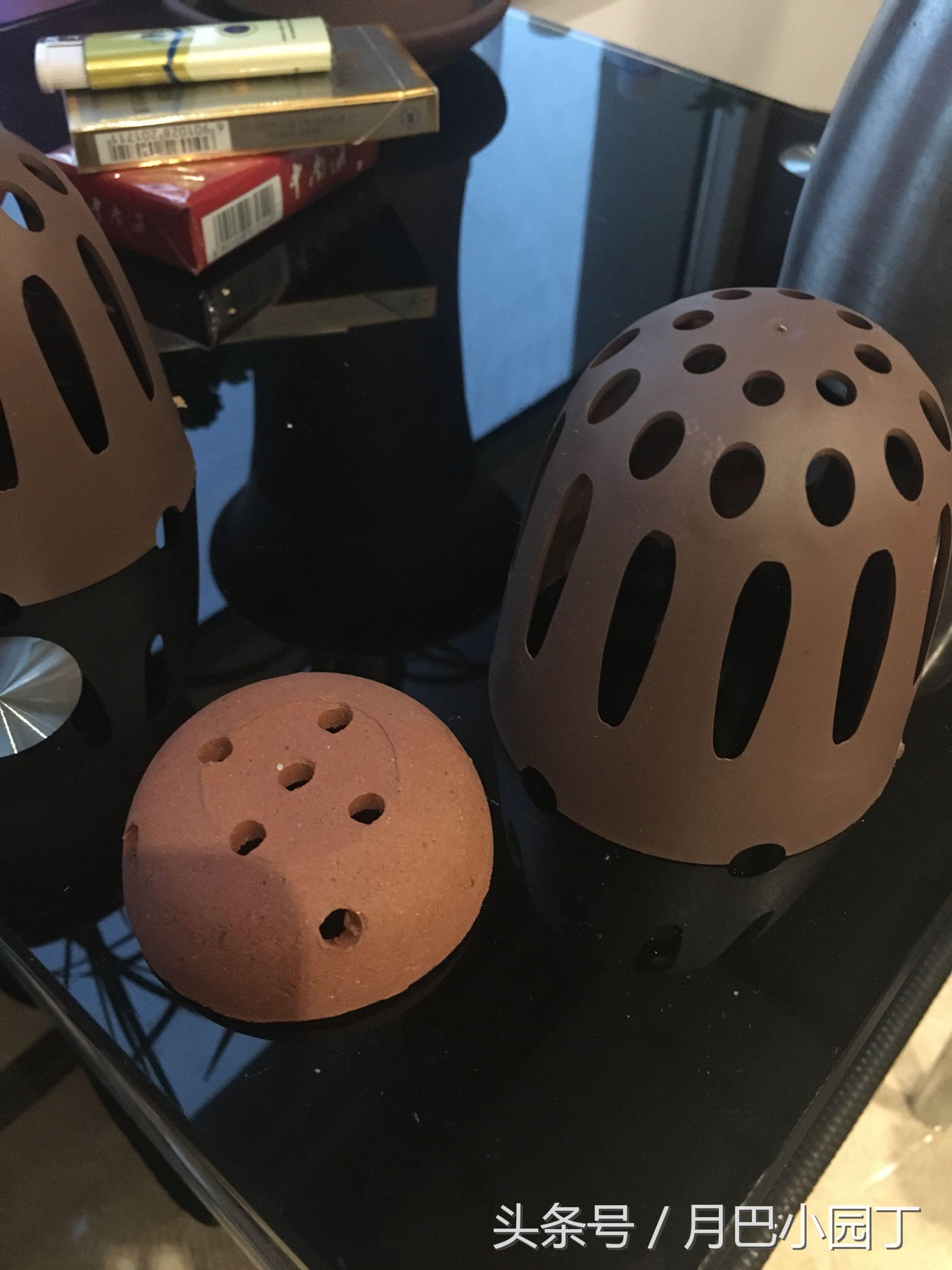 兰花分盆注意事项和手法,兰花翻盆注意什么细节问题