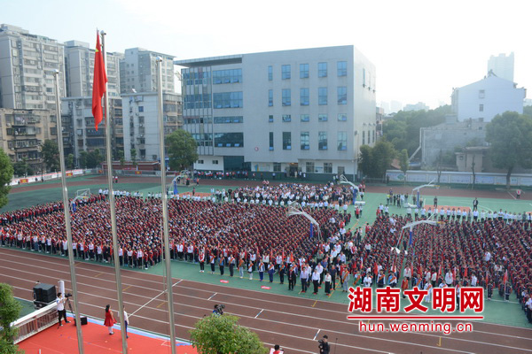 传承红色基因向国旗敬礼视频,传承红色基因向国旗敬礼400字