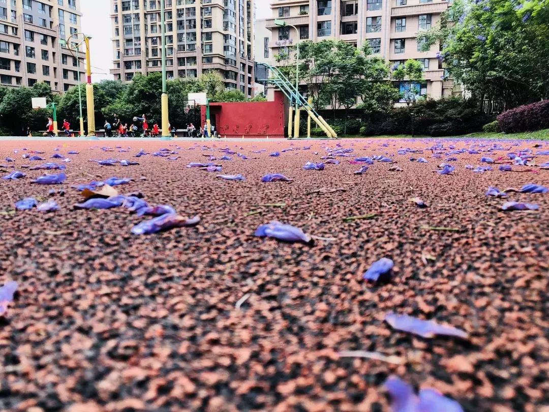 二百学子追梦七彩云南;金康园两校区再起征程