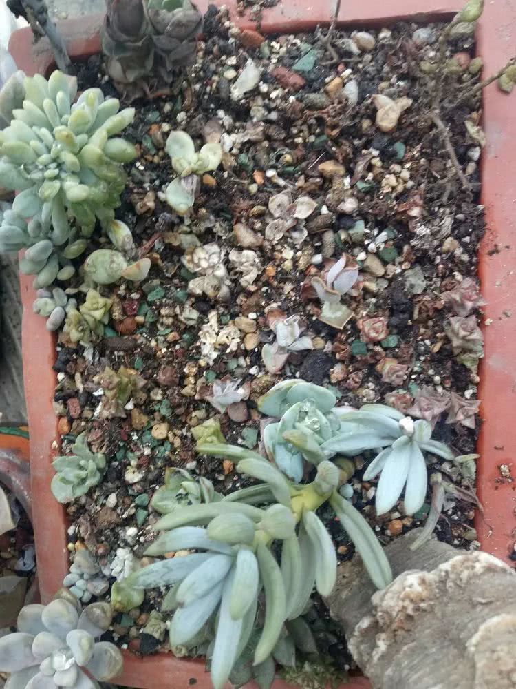 命运多舛，痴迷淡然，肉坚强们逆袭在秋天！