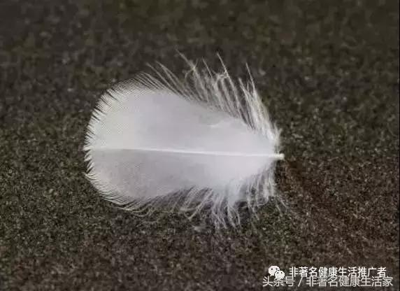 冬天快来了穿什么,冬季怎样用最低价买好羽绒服