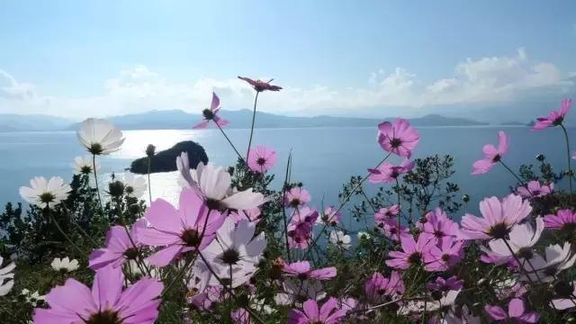 泸沽湖为什么适合一个人去,大理古城和泸沽湖哪个更值得一去