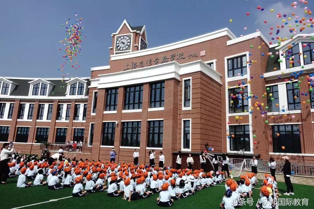 沪上优质国际学校有哪些,沪上国际学校ib成绩