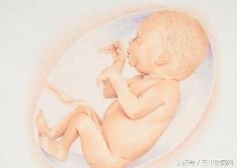 孕期经常吃鱼的胎儿更聪明,孕期多吃鱼有益于胎儿大脑发育