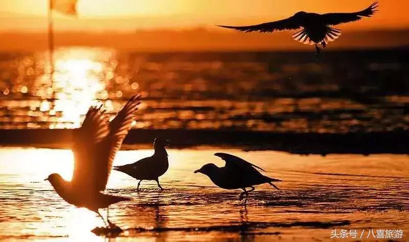 国庆节8天一夜旅游优惠活动,国庆黄金周旅游最新消息