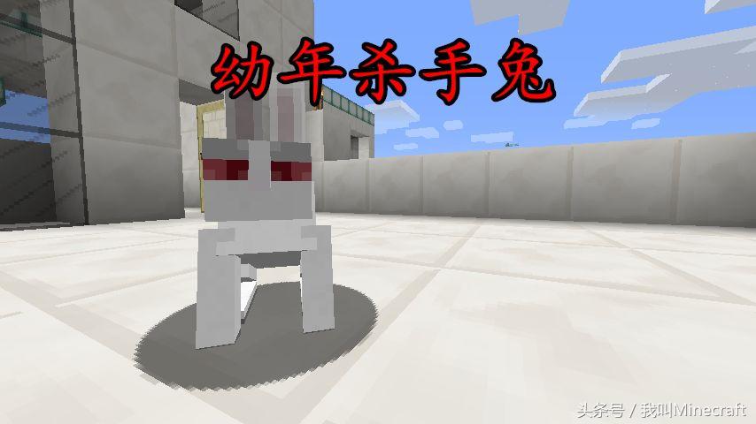 我的世界兔子的种类,我的世界兔子真正身份