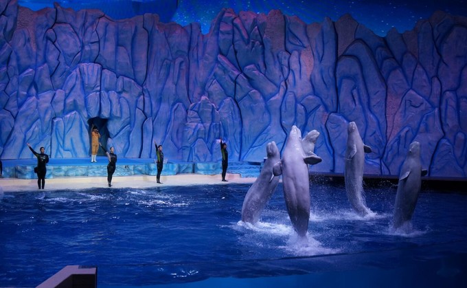 珠海长隆度假区一天旅游攻略,珠海横琴长隆旅游景点大全