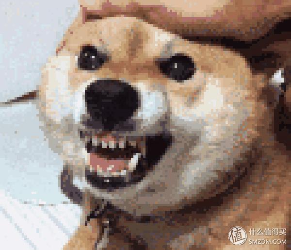 华硕千兆路由器rt-n56u黑金刚亮色,华硕2.5gwifi6路由器评测