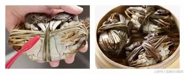 大闸蟹基础知识,大闸蟹科普知识