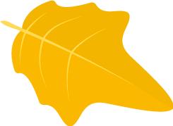 「优秀住院医师」孙晓彤：业精于勤，行成于思