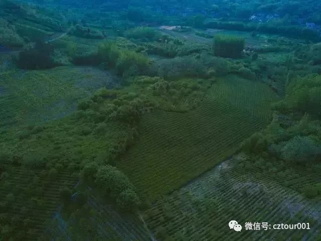 常州十大轻奢民宿,常州10天便宜民宿推荐