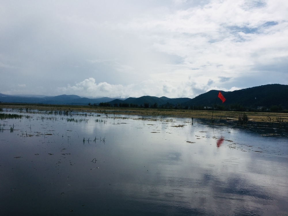 丽江旅游拉市海攻略,丽江拉市海怎么样值得旅游吗
