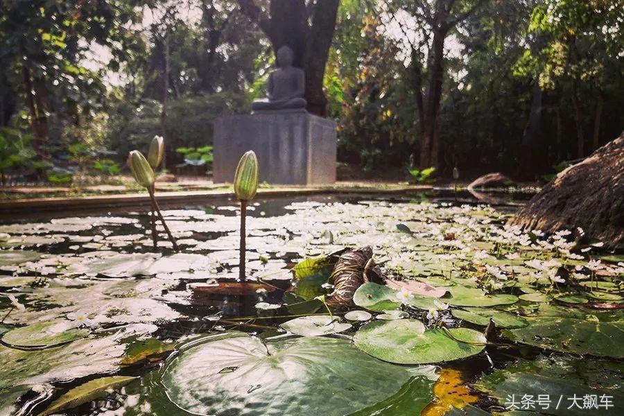 开学“B计划”之，印象斯里兰卡（一）！