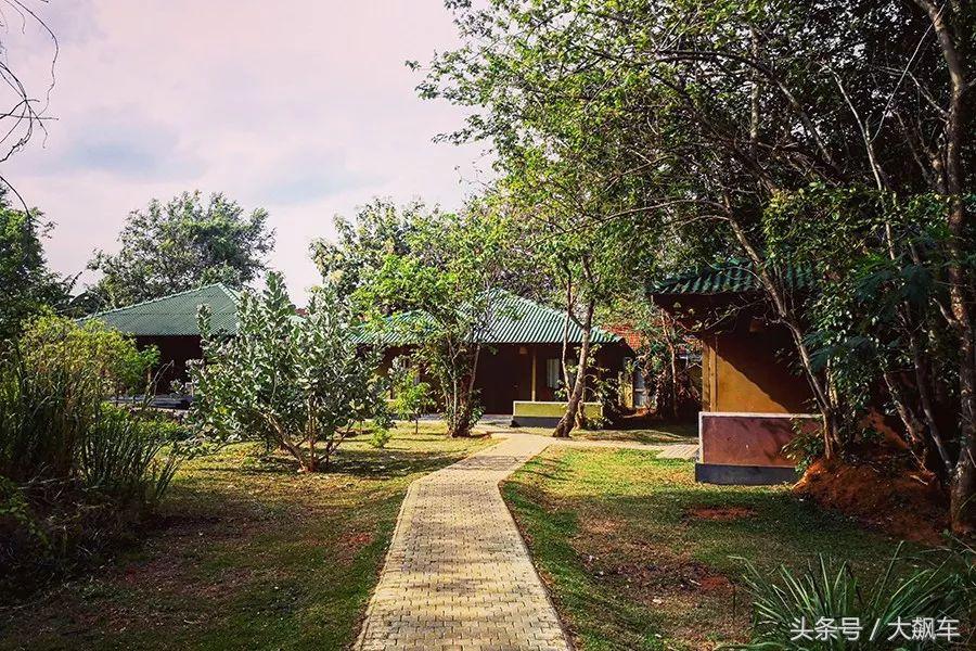 开学“B计划”之，印象斯里兰卡（一）！