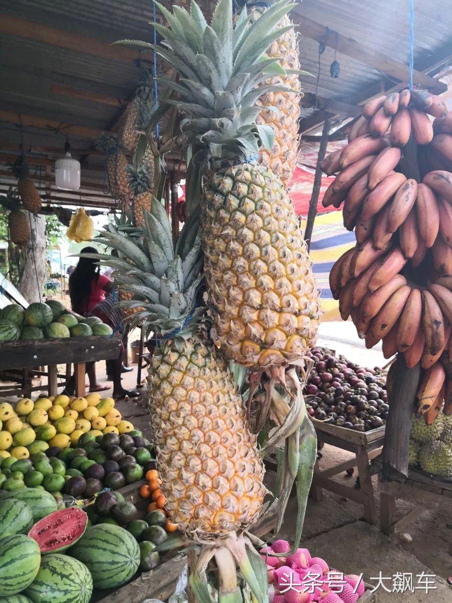 开学“B计划”之，印象斯里兰卡（一）！