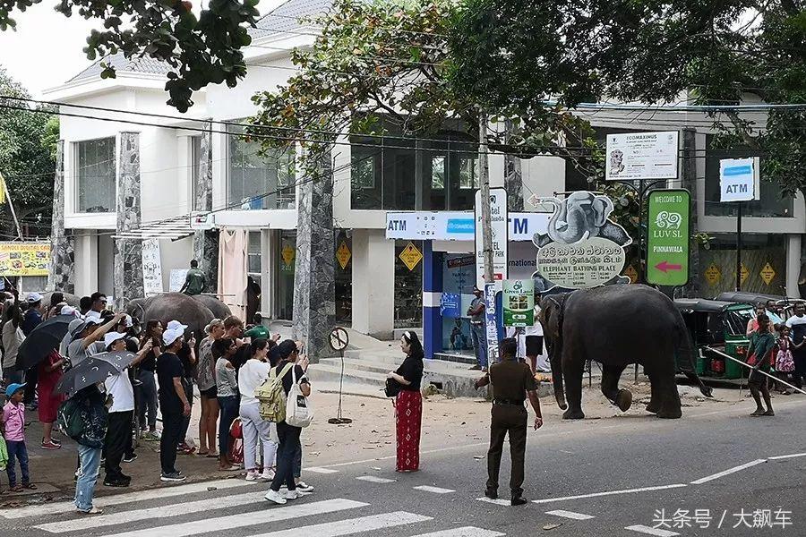 开学“B计划”之，印象斯里兰卡（一）！