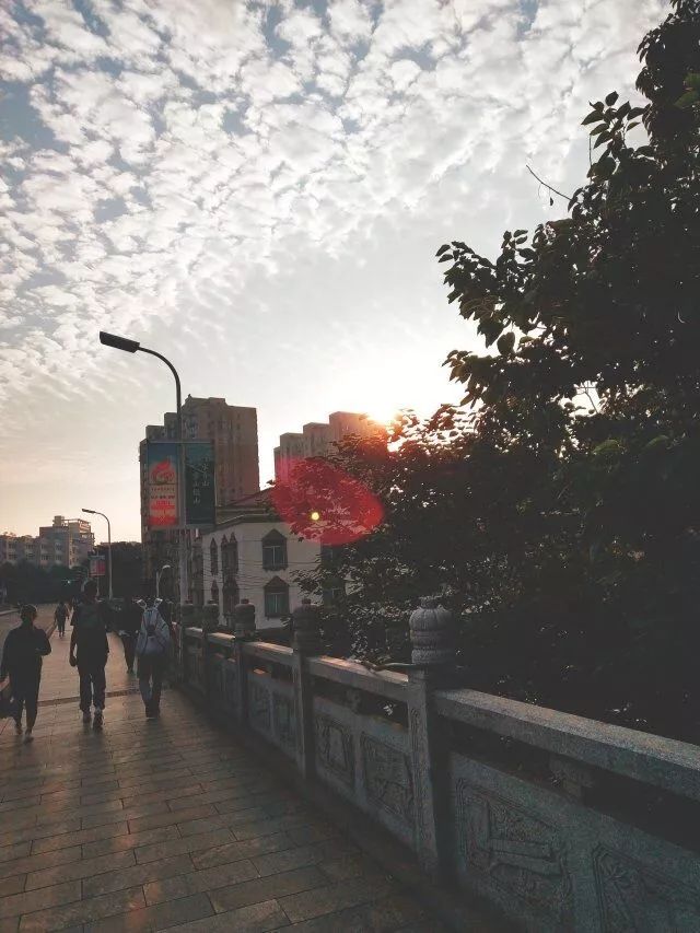 林科大军训要剪头发吗,林科大为何那么厉害