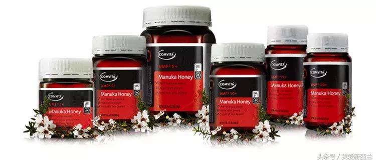 新西兰是不是最美丽的地方,新西兰到底有什么好玩